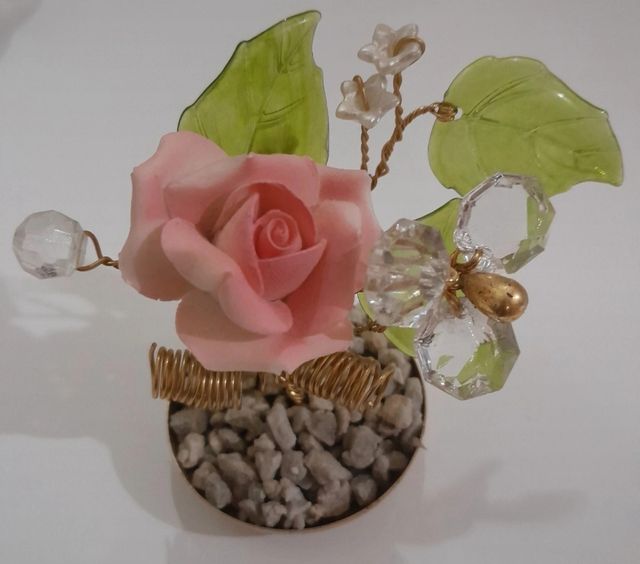 Piantina ornamentale