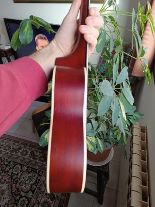 Ukelele Lanikai lutu 21S