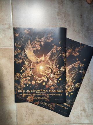 Poster Los Juegos del Hambre Balada