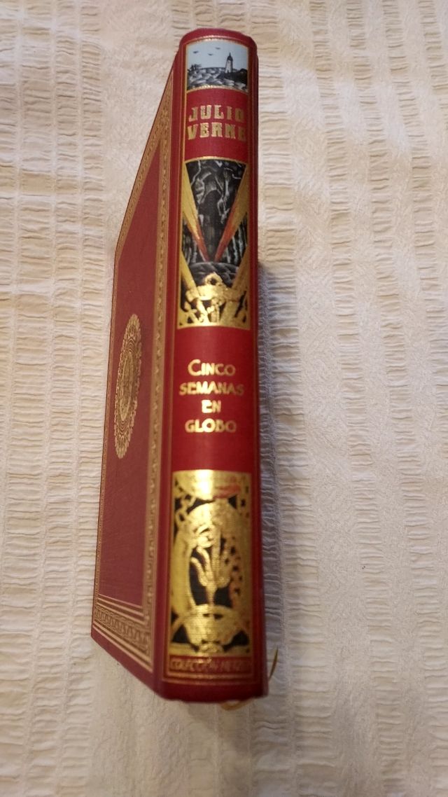 Libro "Cinco semanas en globo" Julio Ver