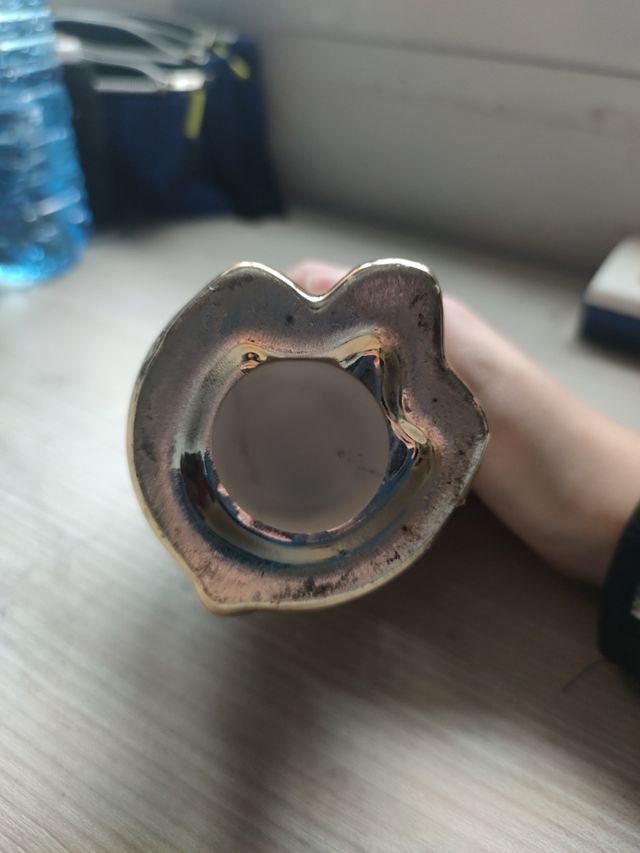 Hucha de michi de oro 🏅