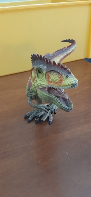 Set 6 dinosauri varie misure e modelli