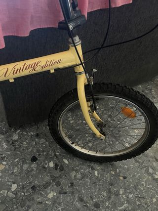 Bicicleta Vintage