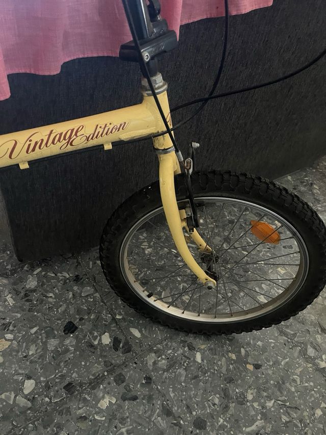 Bicicleta Vintage 