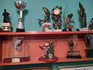 Trofeos de pesca variados