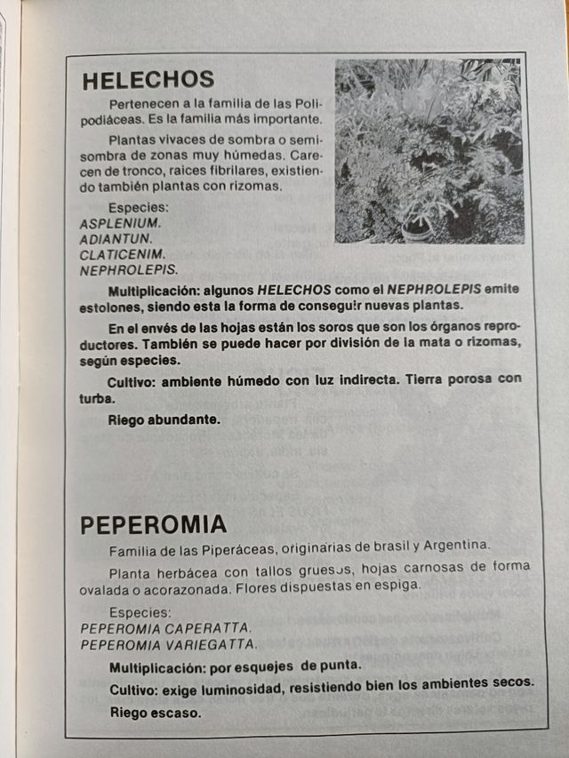 Jardinería canaria I