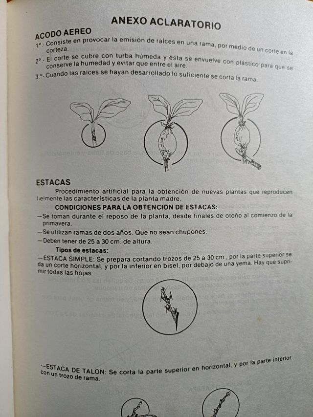 Jardinería canaria I