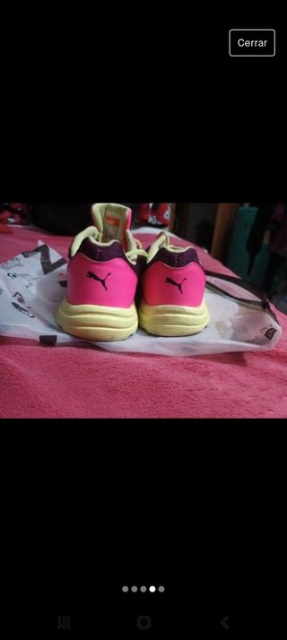Puma expedite