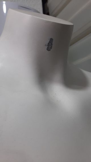 Maniqui