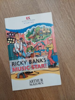 Lote libros en inglés distintos niveles