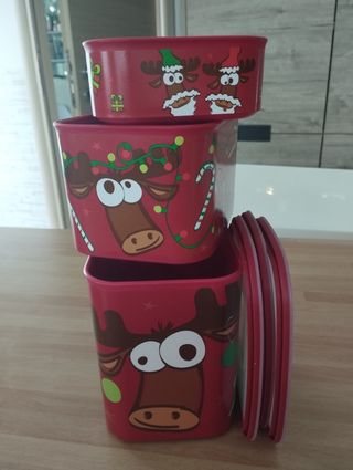 Contenitori Natalizi 