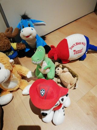 Anorak niño plumas t. 10 12años