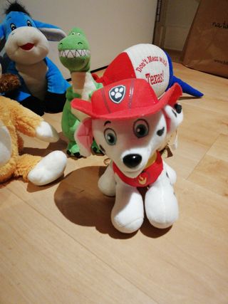 Anorak niño plumas t. 10 12años