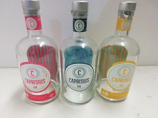 BOTTIGLIE VUOTE DI GIN DI TANTI TIPI DIVERSI