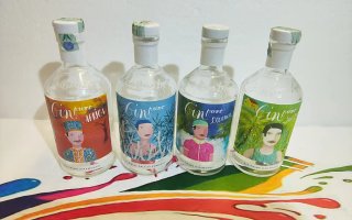BOTTIGLIE VUOTE DI GIN DI TANTI TIPI DIVERSI