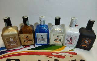 BOTTIGLIE VUOTE DI GIN DI TANTI TIPI DIVERSI
