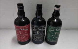 BOTTIGLIE VUOTE DI GIN DI TANTI TIPI DIVERSI