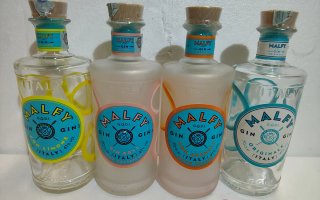 BOTTIGLIE VUOTE DI GIN DI TANTI TIPI DIVERSI