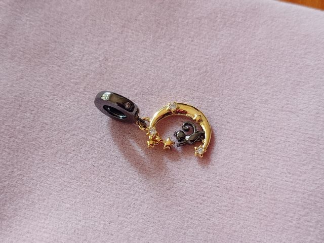 Charm Luna y Gato de plata