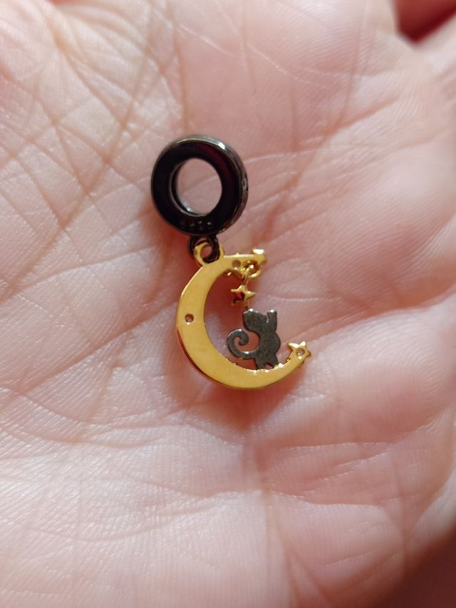 Charm Luna y Gato de plata
