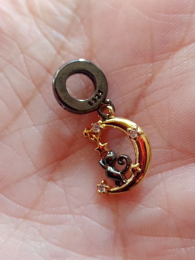 Charm Luna y Gato de plata
