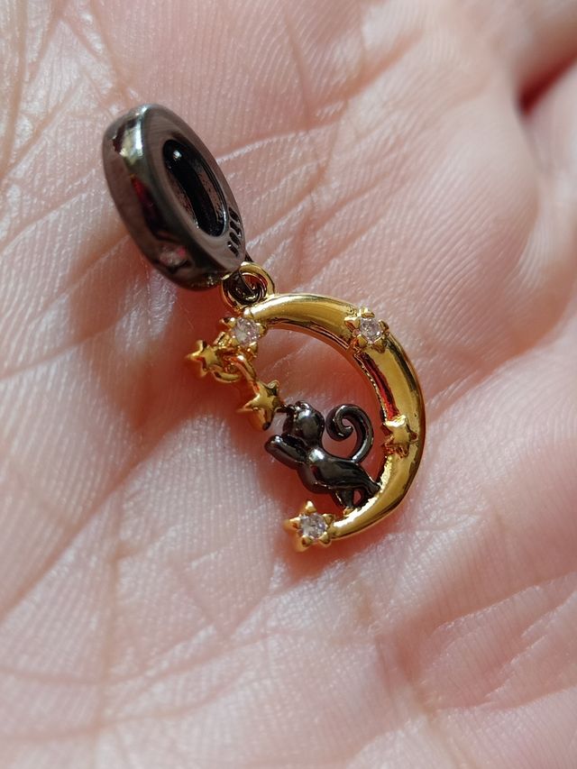 Charm Luna y Gato de plata
