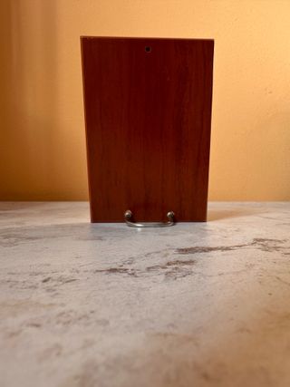 Quadro in argento Madonna con bambino