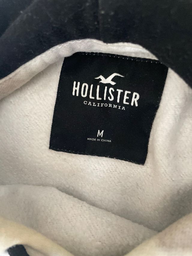 Sudadera Hollister