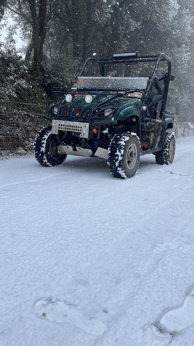 Yamaha rhino Rhino 660 2006