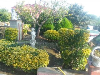 Jardinero Economico y profesional