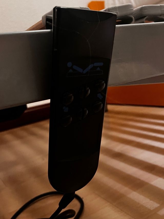 Cama Electrica con colchon