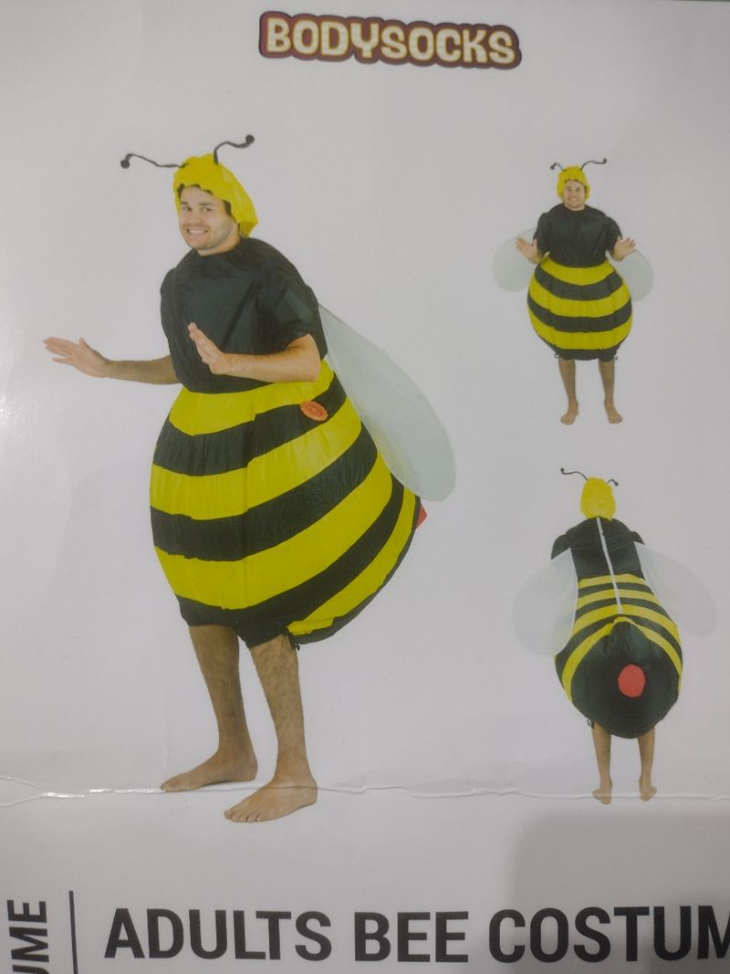 Disfraz de abeja hinchable de segunda mano por 35 EUR en Badia del Vallès  en WALLAPOP, image size:800x1067