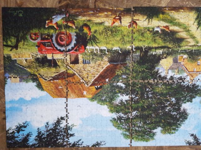 Puzzle para enmarcar 1000 piezas