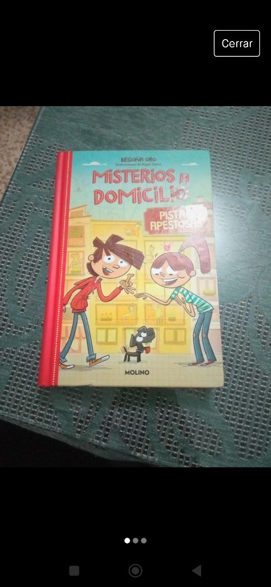 Misterios a domicilio 1