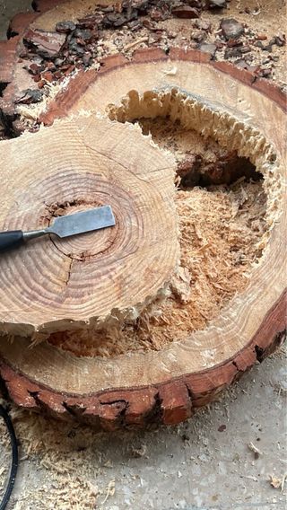 lampara tronco de arbol