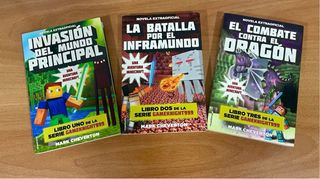 libro Minecraft