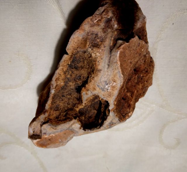 Pietra fossile,geode? vintage