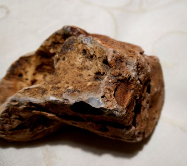 Pietra fossile,geode? vintage