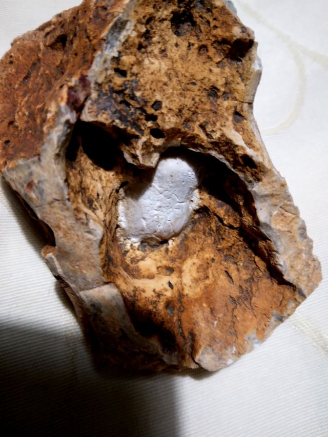 Pietra fossile,geode? vintage