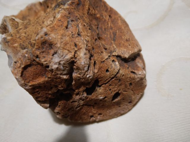 Pietra fossile,geode? vintage