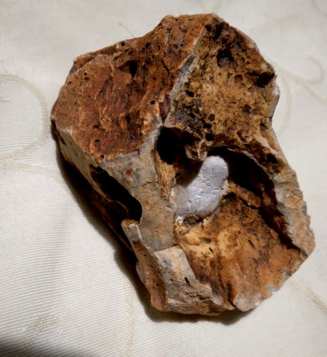 Pietra fossile,geode? vintage