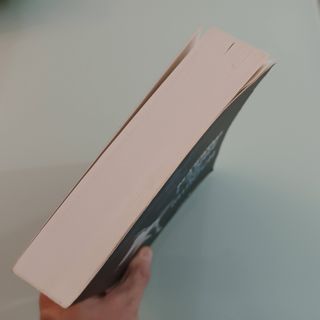 L'ANGE DE MUNICH Fabiano MASSIMI. Livre