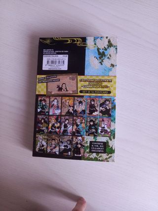 Collezione Demon Slayer + speciali