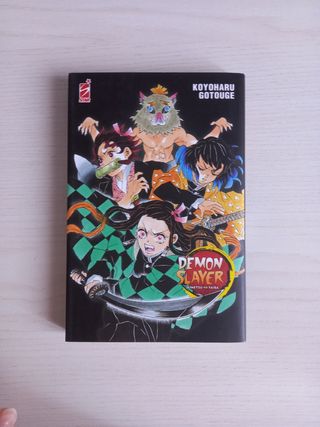 Collezione Demon Slayer + speciali