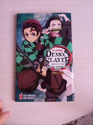 Collezione Demon Slayer + speciali