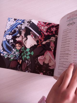 Collezione Demon Slayer + speciali