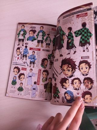 Collezione Demon Slayer + speciali