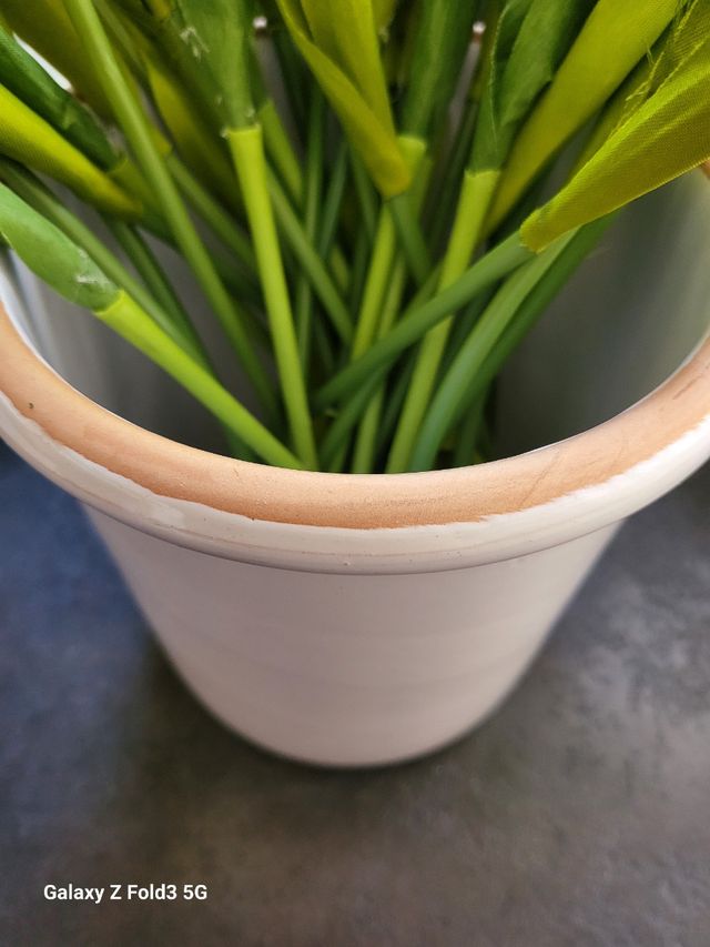 Vaso contenitore ceramica