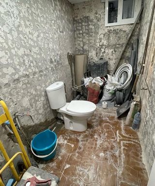 Albañil profesional