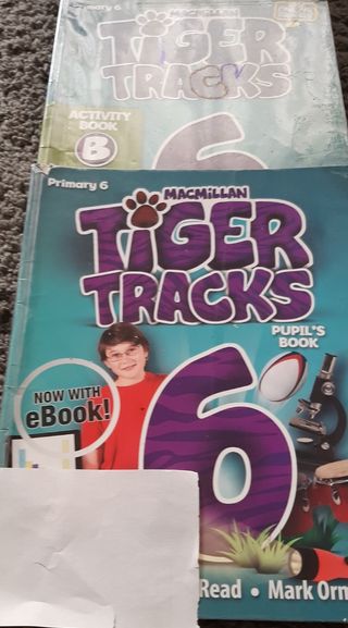 Tiger Tracks 6 Primaria